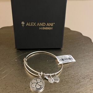 Alex and Ani Silver Charm Bracelet